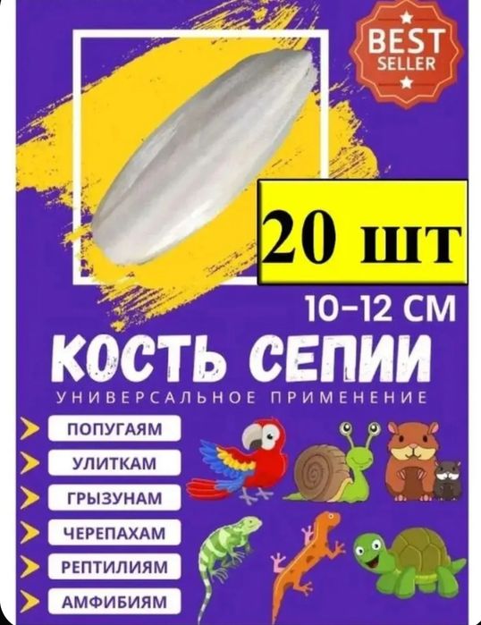 Панцирь каракатицы 12см