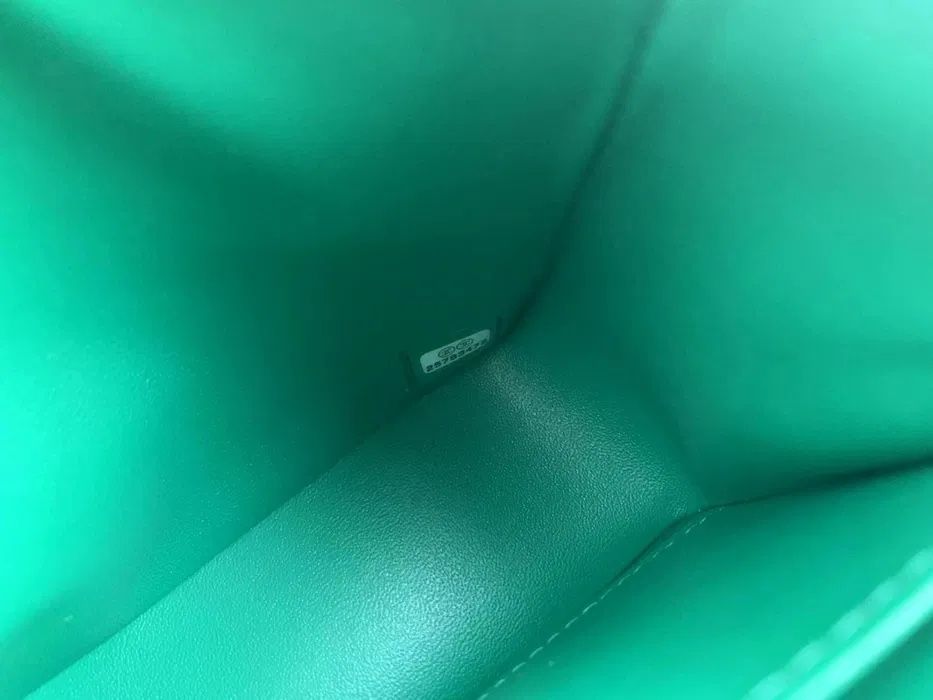 Chanel Classic Medium Double Flap