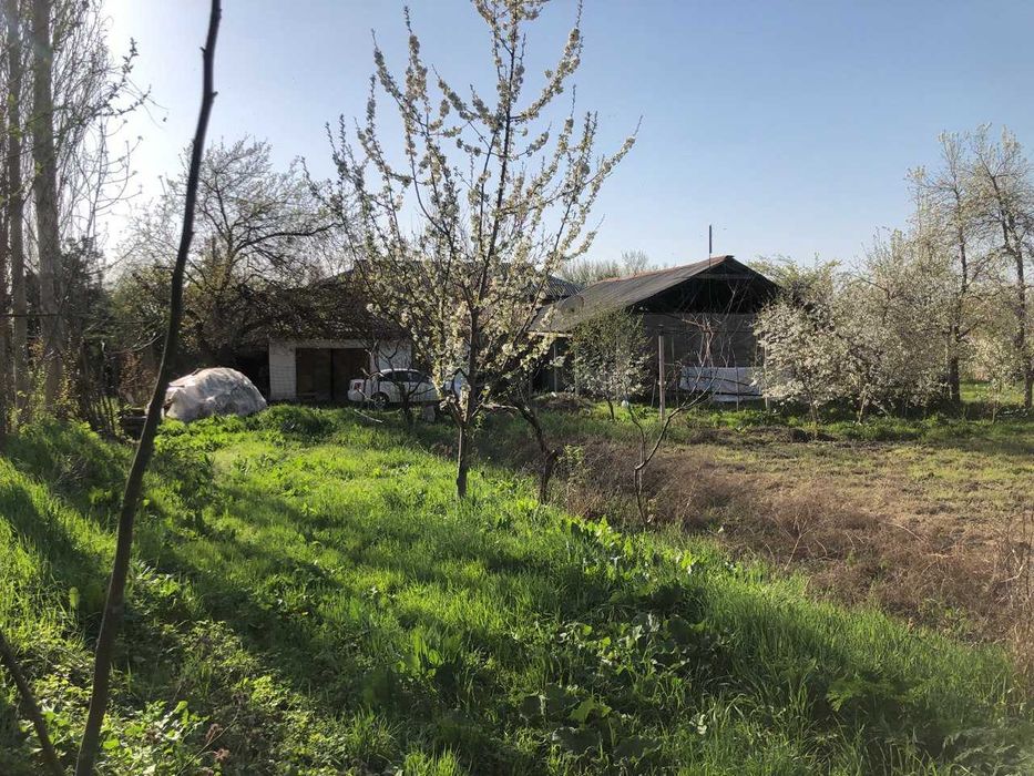 Yer sotiladi toytepada , dacha 25sotx