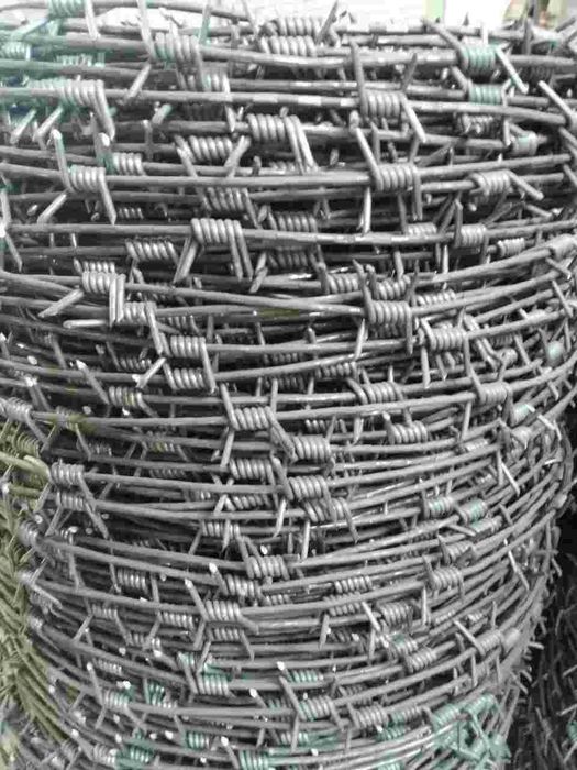 егоза, калючка . тикон сим, tikonli sim