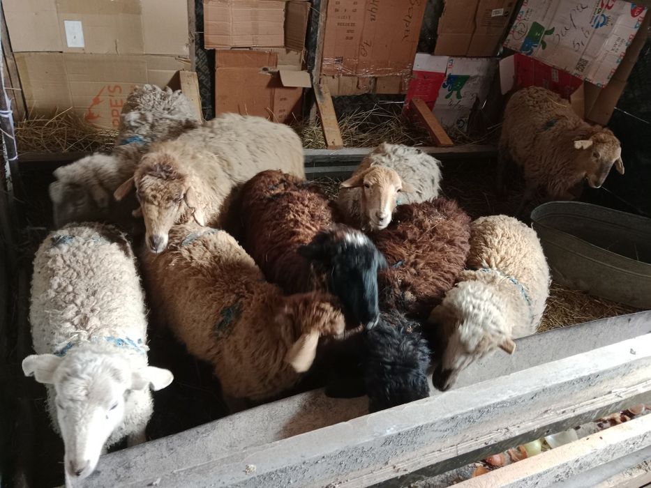 Срочно срочно продам