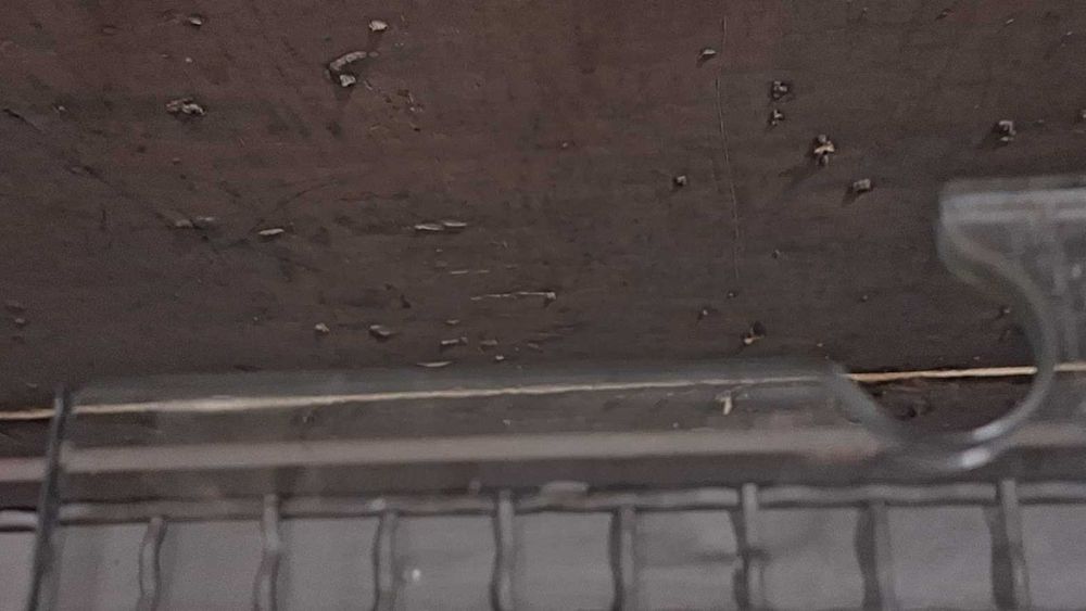 Италианска стъклена врата Dorma