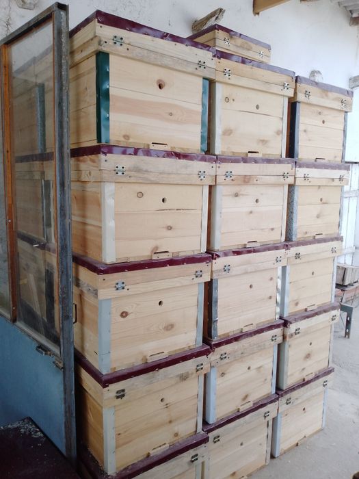 Asalari yawiklari sotiladi 14 16 ramkalik 350 ming va 20 ramkalik  3 l