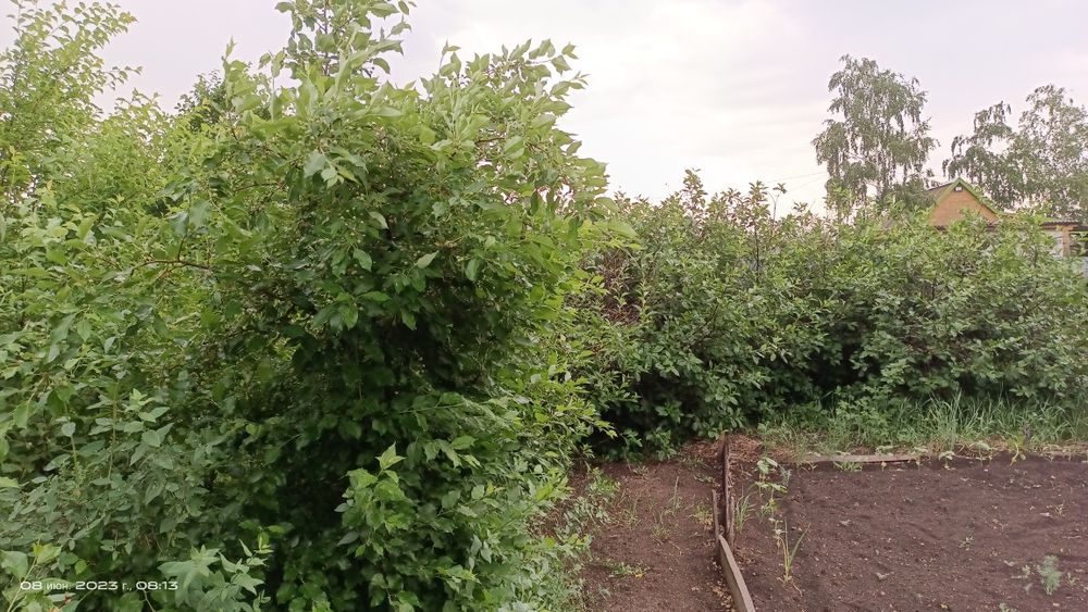 Дача по зерендинской трассе