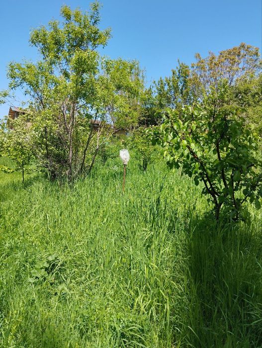 Йер сотилади 16 сотих