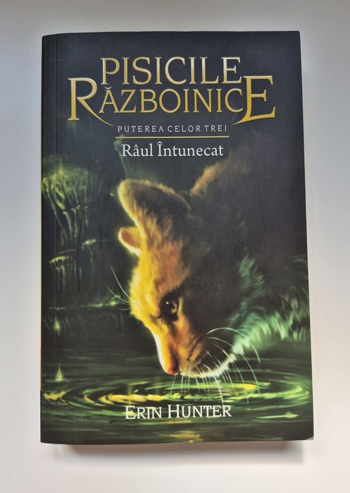 Pisicile Războinice - Puterea Celor Trei