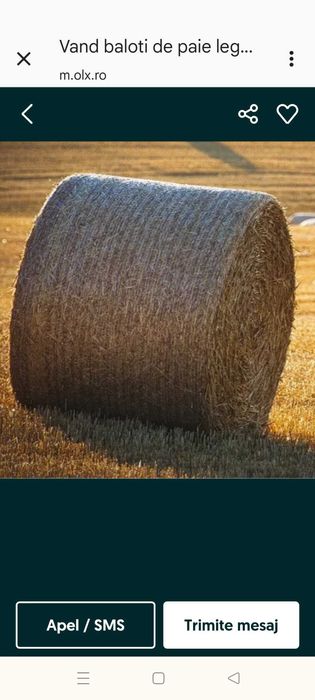 Vând baloți.. paie și tulei