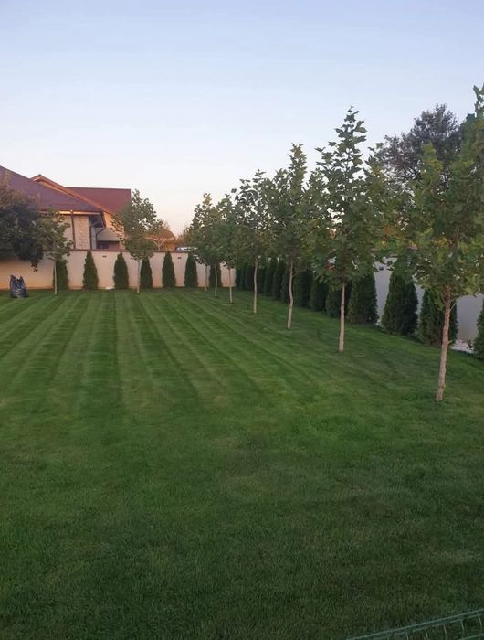 Vând piatră cubica din recuperări și nouă la preț de producător amenaj