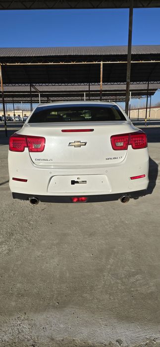 Malbu1 2chi podisiya