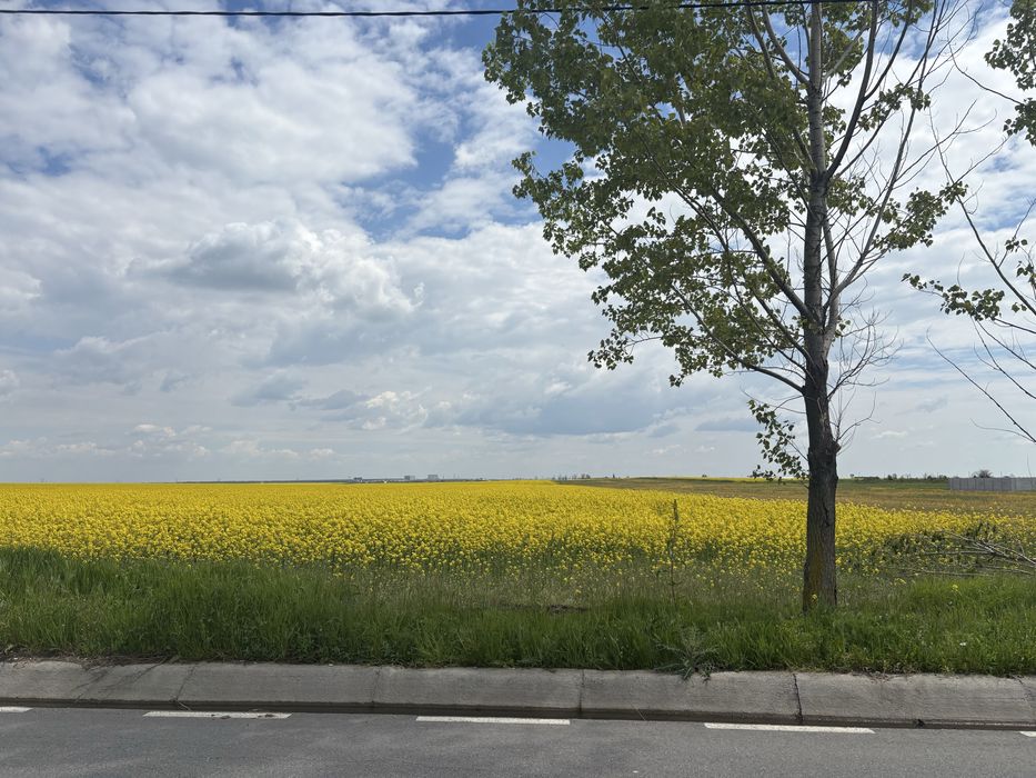 Teren intravilan/extravilan 20.000 mp situat la DC87 Pielesti, zona Peugeot