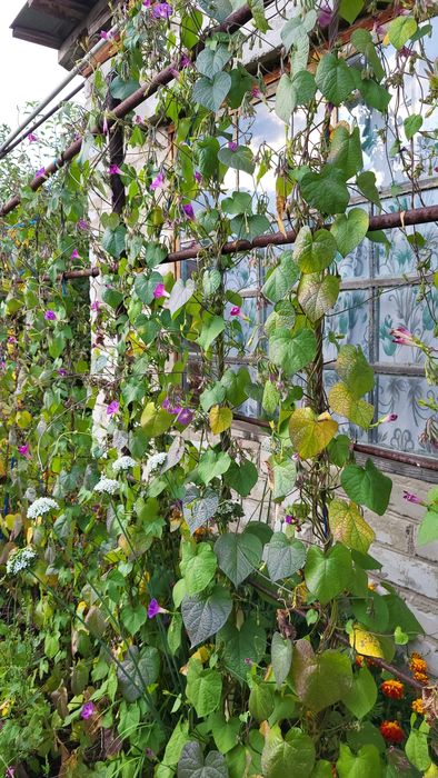 Продаётся дом в посёлке Прибрежный