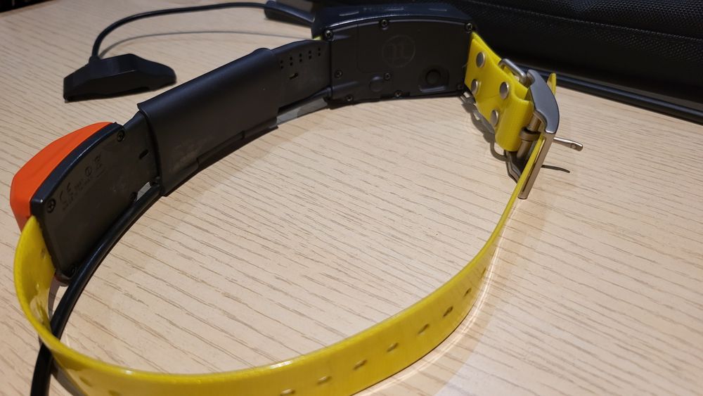 Garmin Alpha 100 +T5