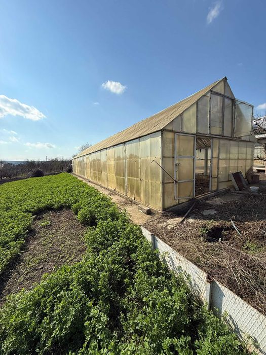 Teren de vânzare cu seră și vie în com. Belcești, jud. Iași