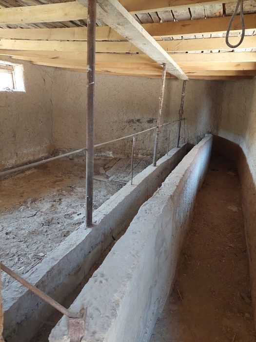 Qibrayda joylashgan 3/5   sotix yol yuzida