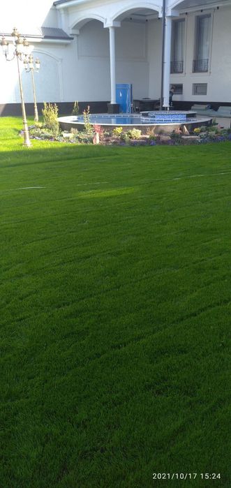 Gazon tayyor ruloniy ekamiz hamda uruglarin sepamiz yevro gazonlar