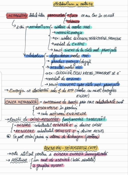 Ofer meditatii pentru admitere la UMF