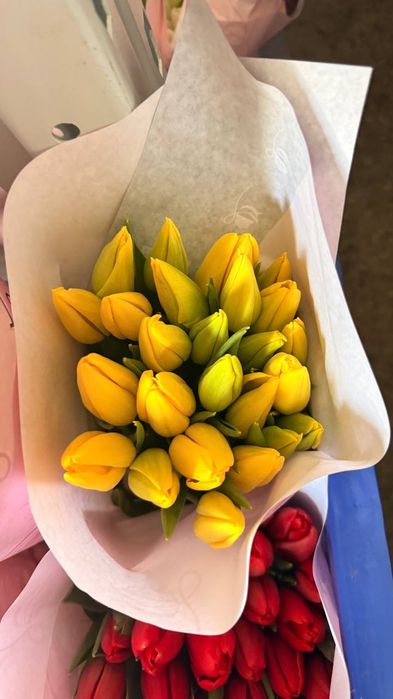 Тюльпаны (Голландская) на 8 марта оптом есть перечисленные