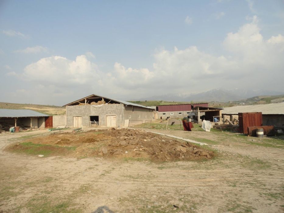 Участок с фермой 40соток срочно