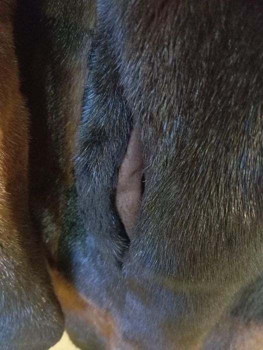 Пальто от норка..