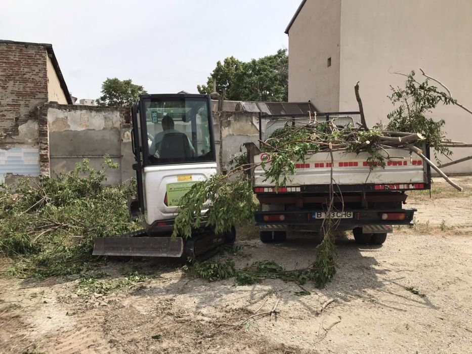 Evacuare pamant excavat resturi vegetale crengi gazon