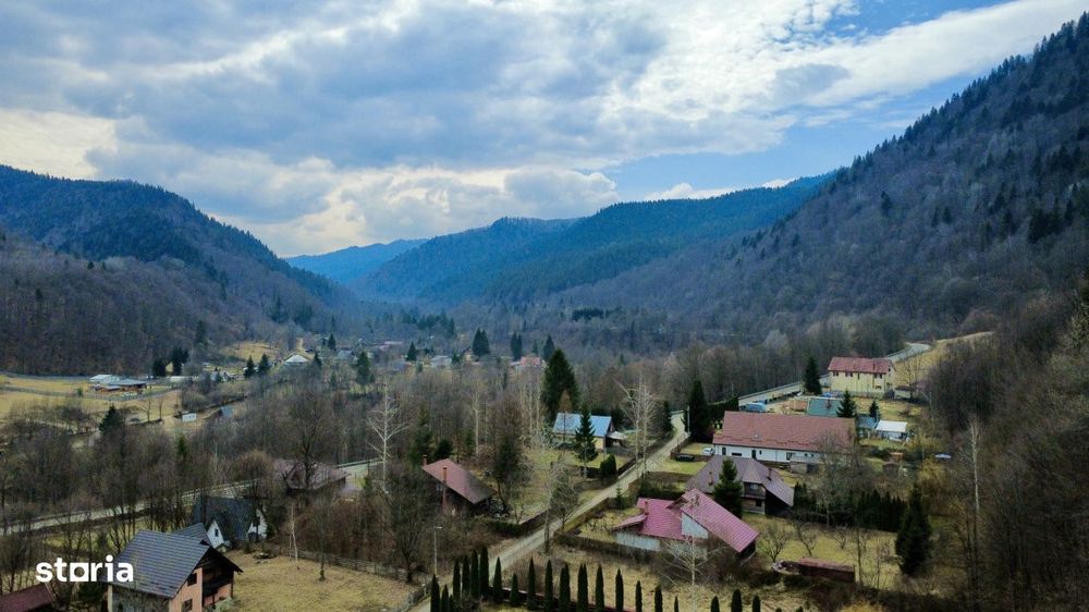 Oaza de liniste: casa + padure pana pe creasta muntelui