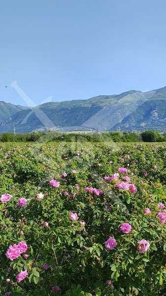 Продава се земеделска земя в Карлово!