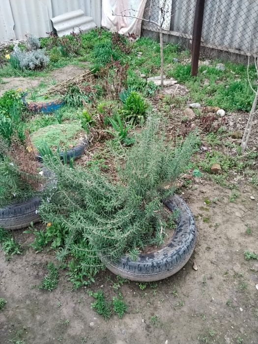 Продажа дома в районе «Роща»