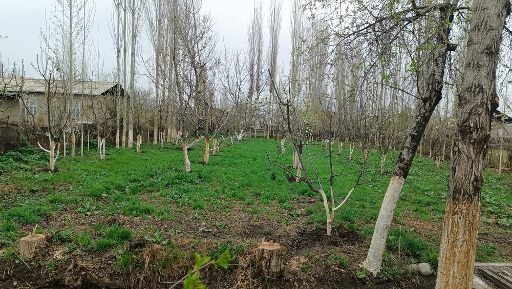 Продаётся земля 15 сотих в Платина малбазар