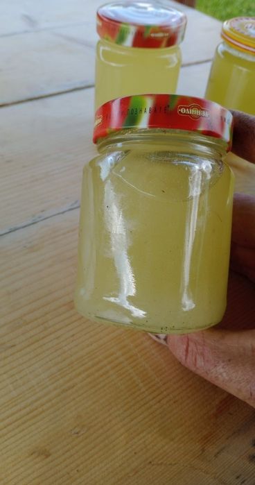 Мурова смола от Рила