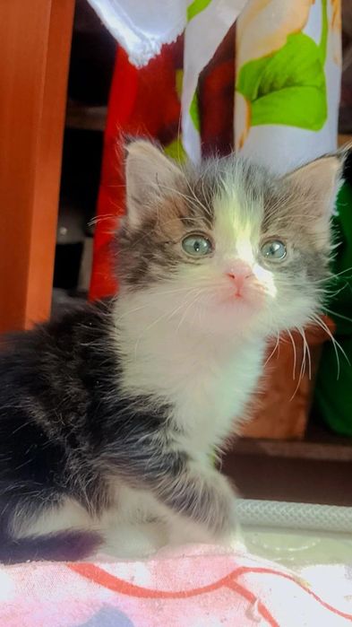 Малышка по имени Зайка