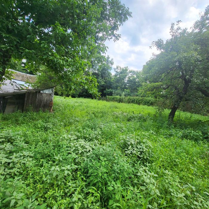 Vand Casa Comuna Buda