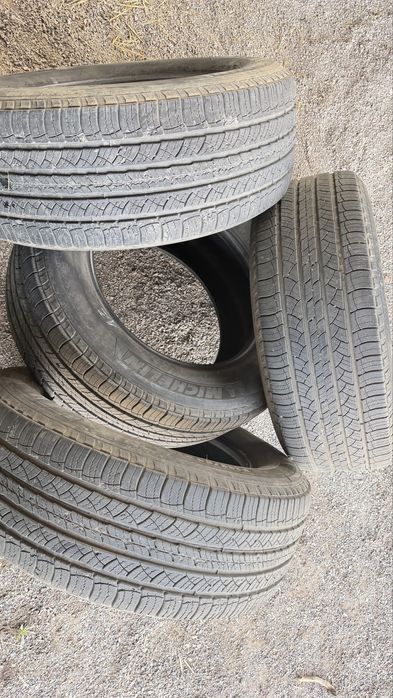 Автомобильная шина