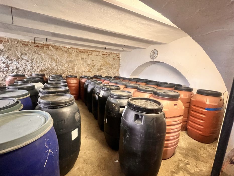 Varză murata de vanzare