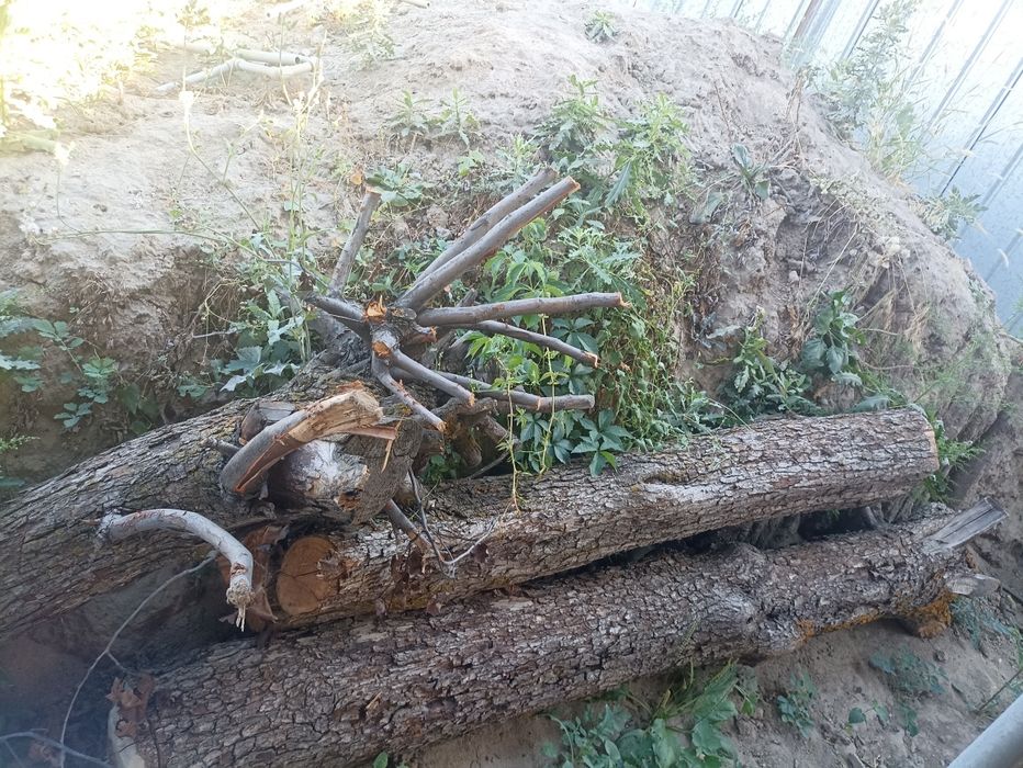 Отдам  ломанные поддоны на дрова
