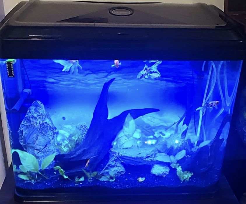 Аквариум RS-700EL – черен, пълен комплект + подаръци отлично състояние