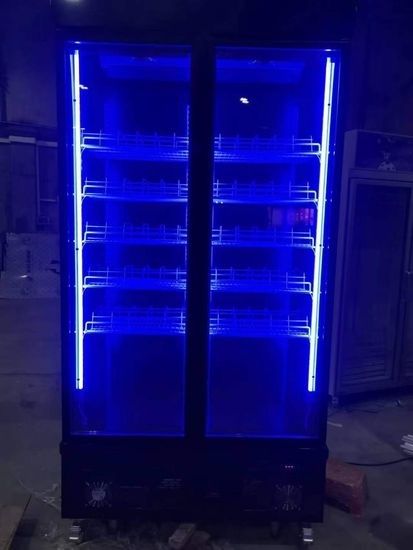 Minusvoy vitrina xaladilnik