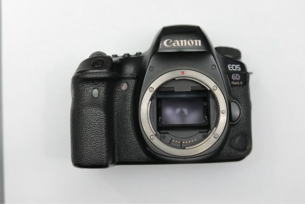 6D Mark II  body