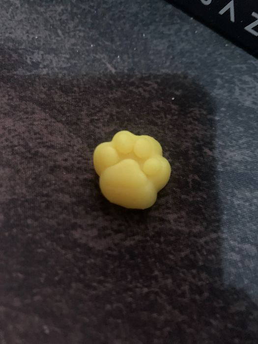 маленькая таба лапка