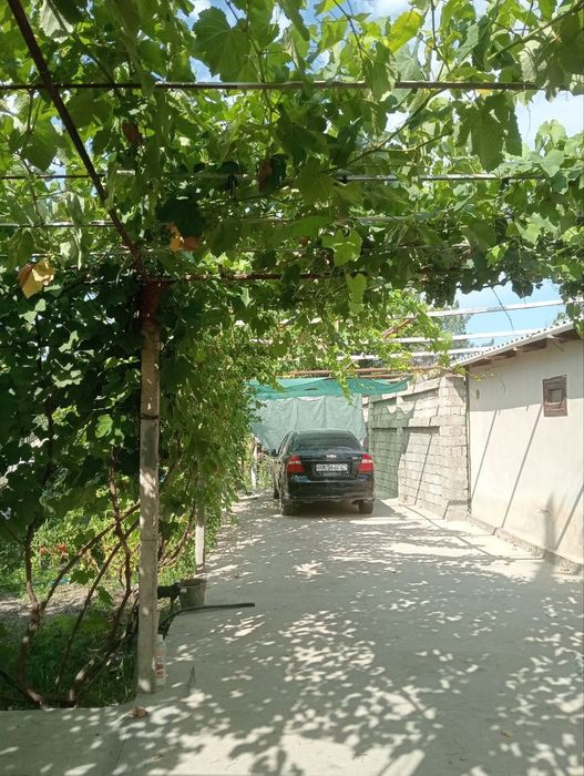 Дала Ховли шахардан 12 км