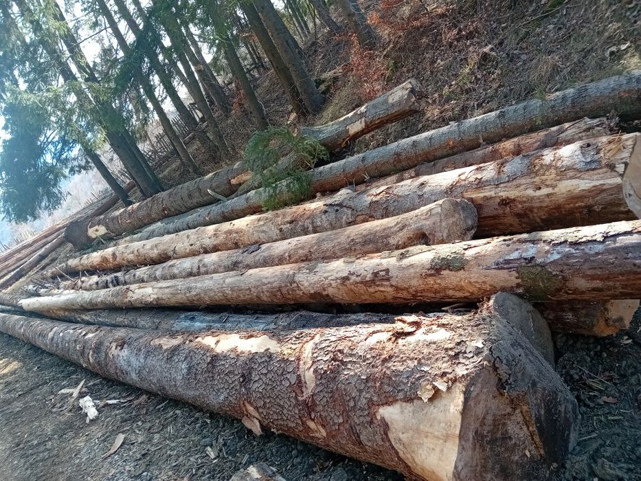 Depozit lemn de foc Nehoiu