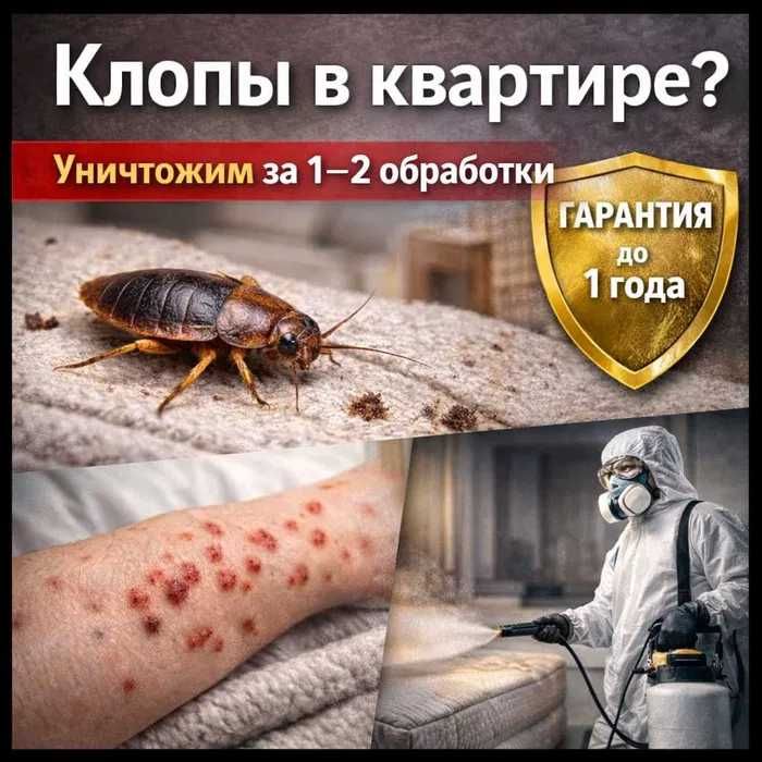 Дезинфекция от 15000 тенге | АКЦИЯ | Уничтожим вредителей
