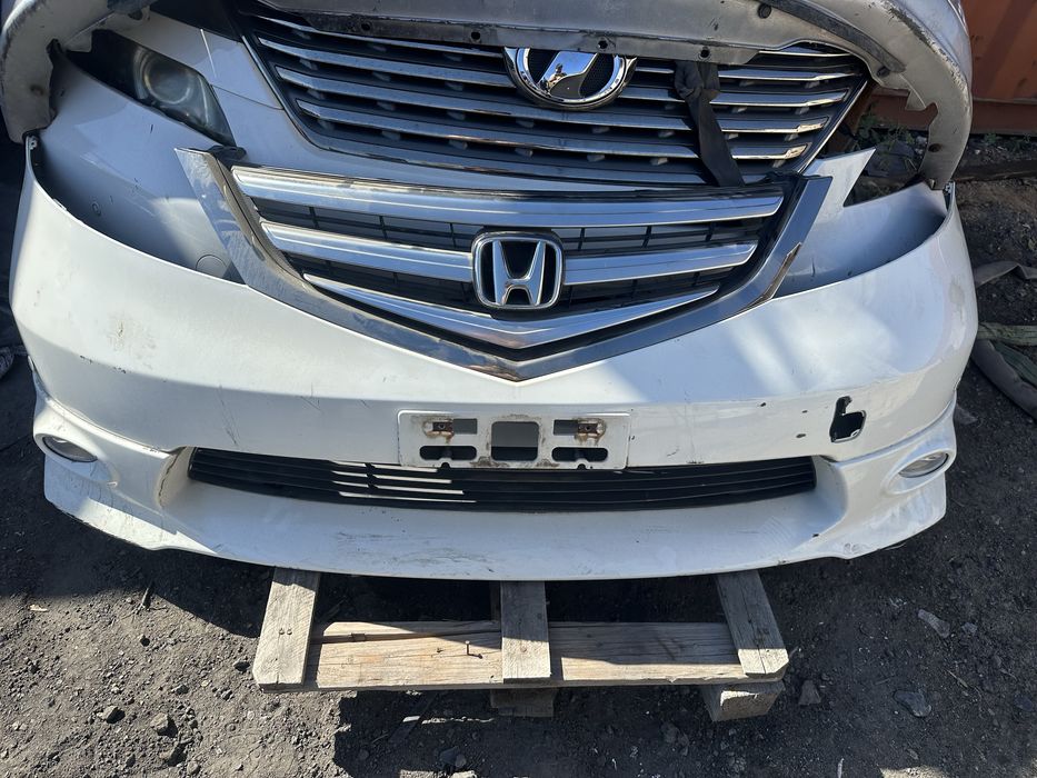 Ноускат мини  морда   Honda   Elysion RR