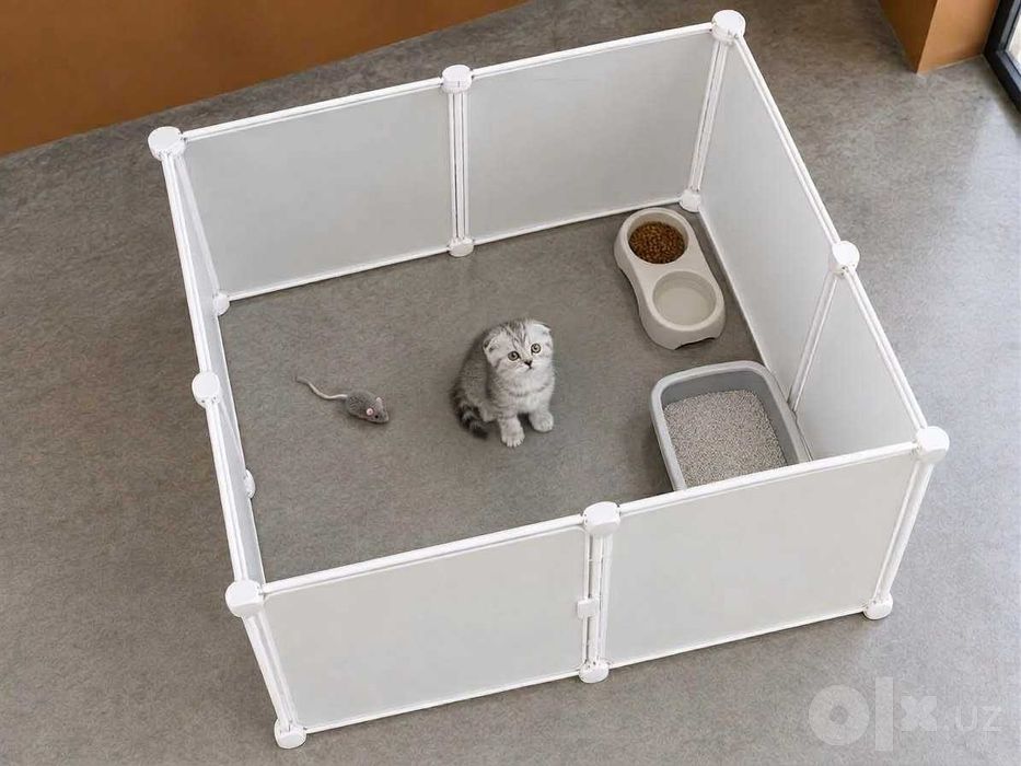 Скотиш фолд Skotish fold домик в подарок