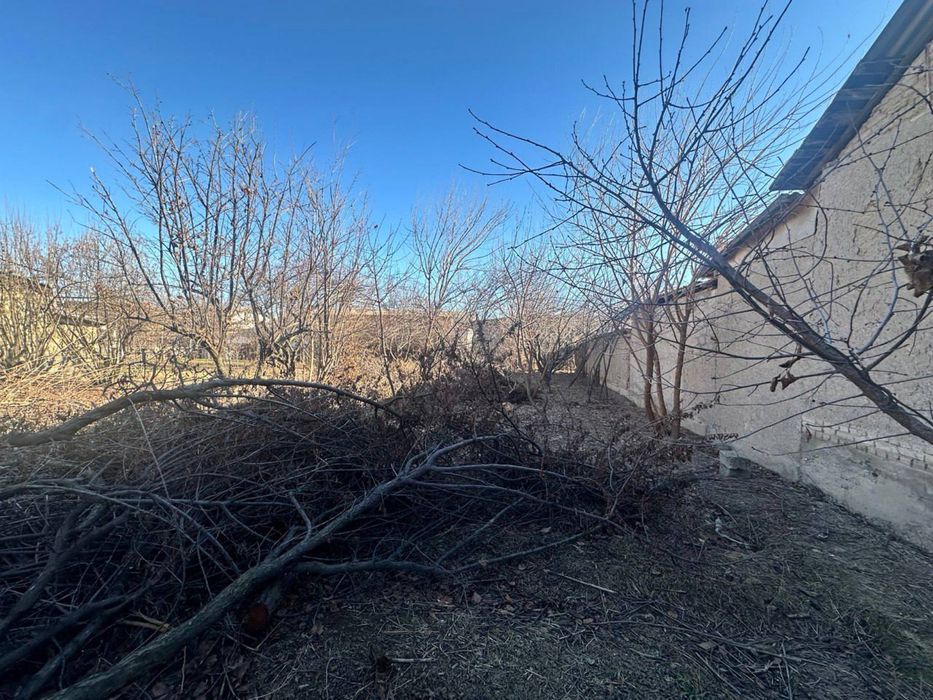 Кибрай кабачок земля фасад 20/35