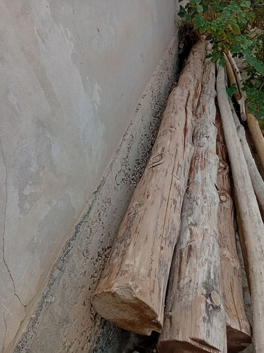 Кругляк сатылады