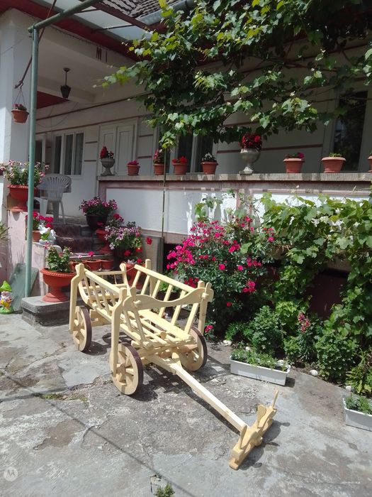 Carucior pentru flori