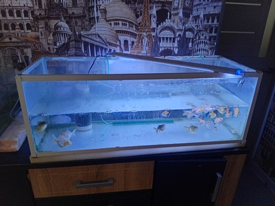Аквариум продаётся