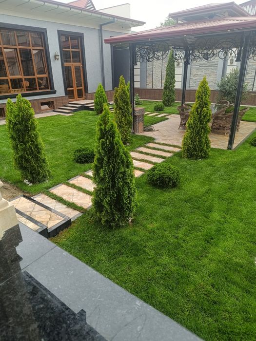 bog'bon sadovnik 12 -yillik