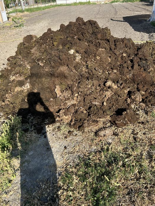 Mranita si pamant negru