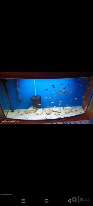 Akvarium 180 litr +-